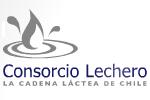 Consorcio Lechero